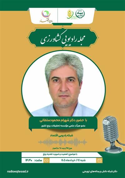 اهمیت و ضرورت تغذیه برنج